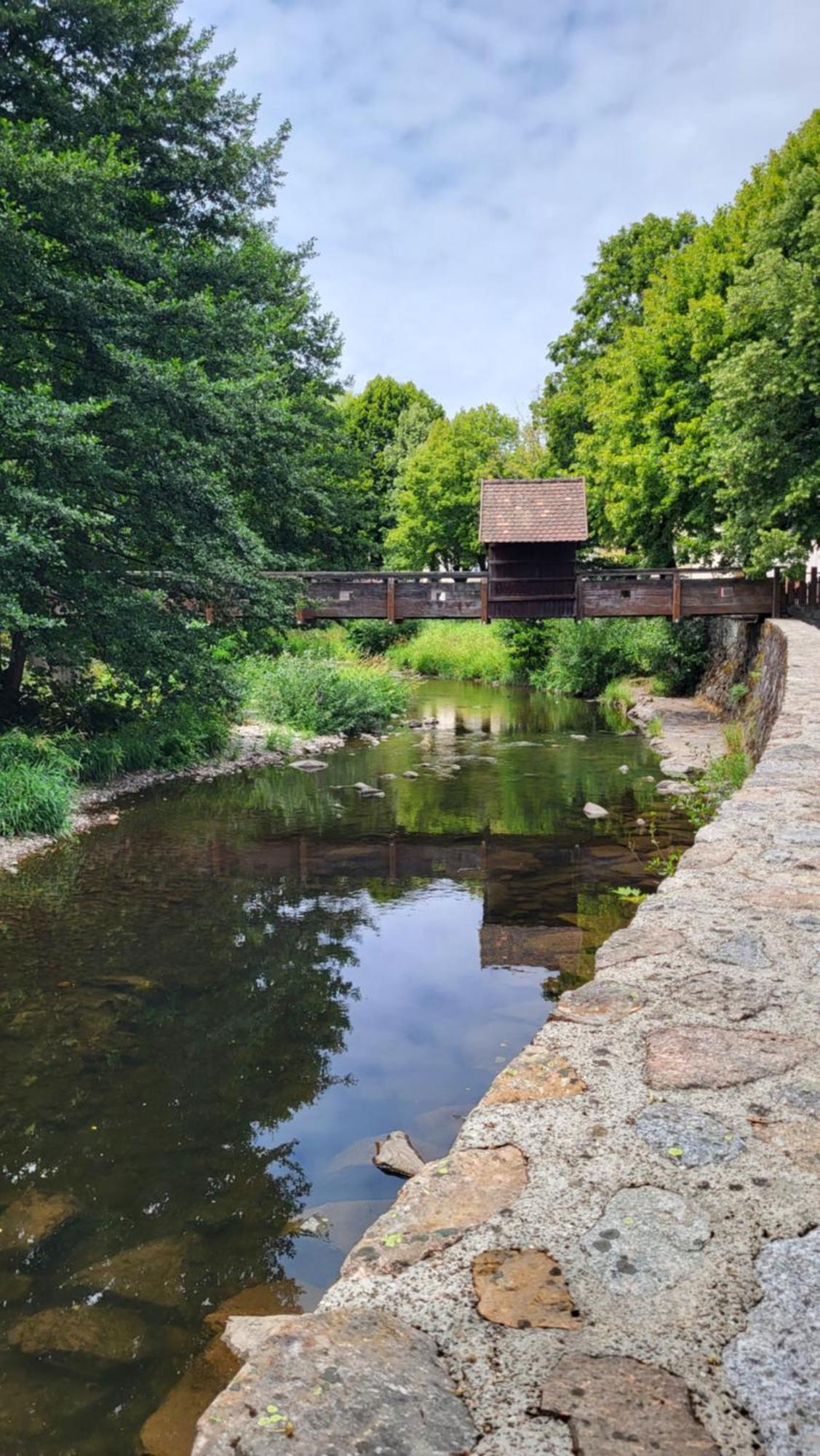 gite violette et pierrot Masevaux-Niederbruck Esterno foto