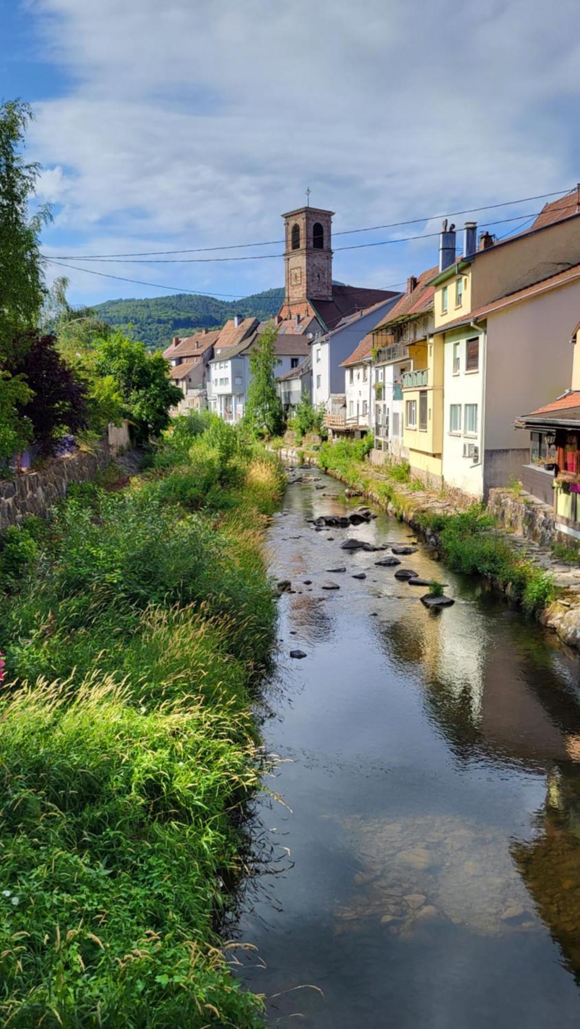 gite violette et pierrot Masevaux-Niederbruck Esterno foto