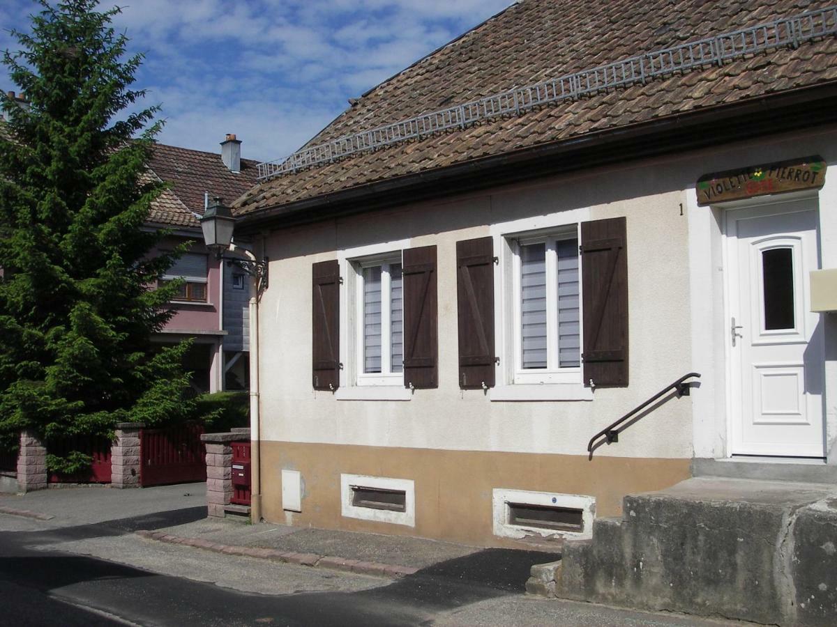 gite violette et pierrot Masevaux-Niederbruck Esterno foto