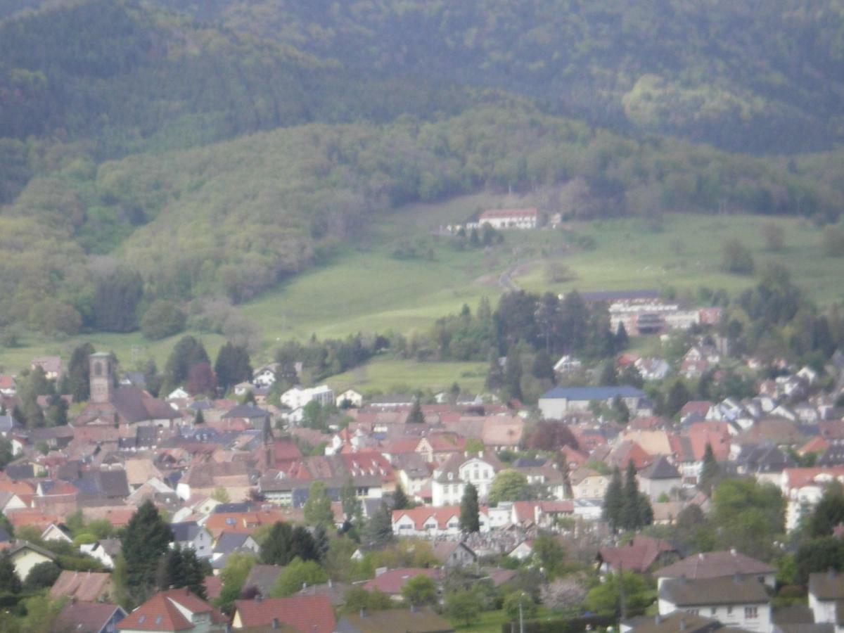 gite violette et pierrot Masevaux-Niederbruck Esterno foto