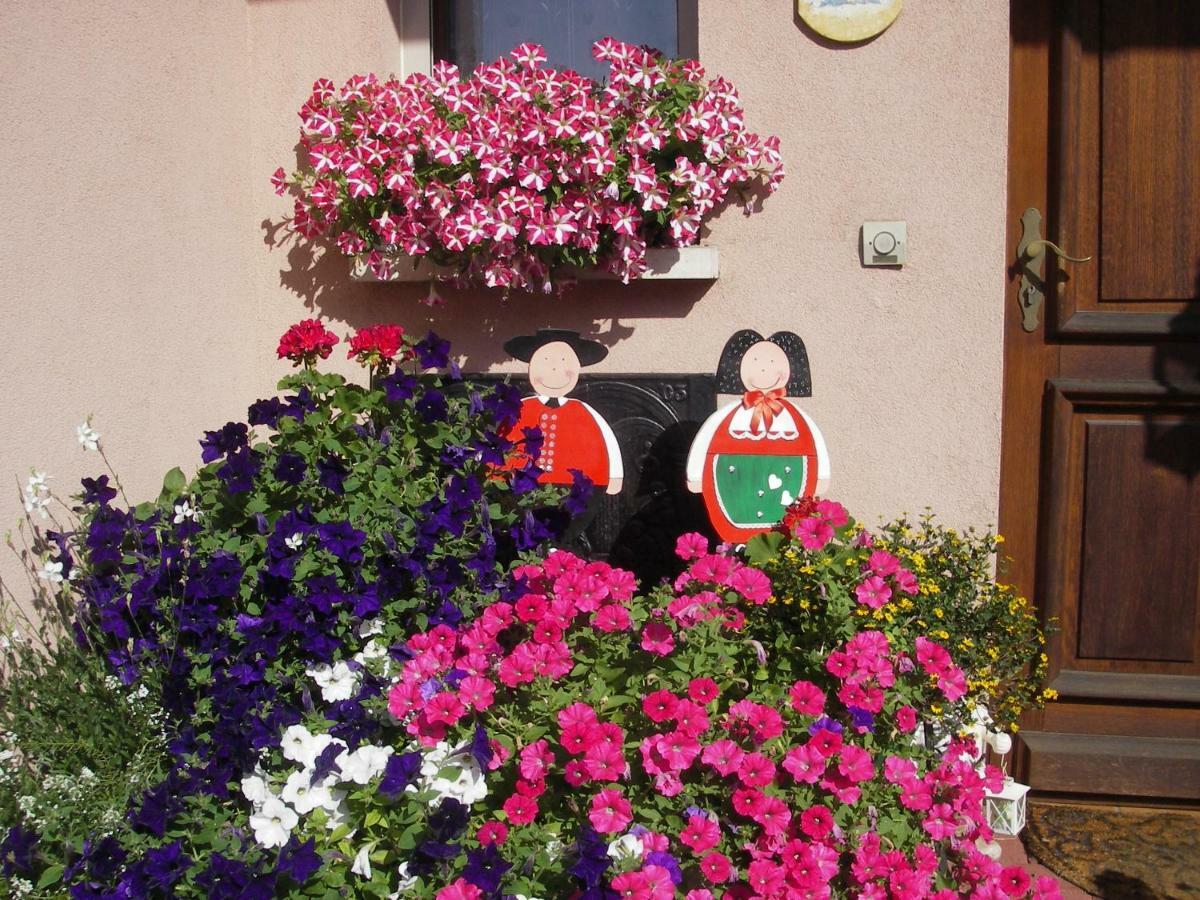 gite violette et pierrot Masevaux-Niederbruck Esterno foto