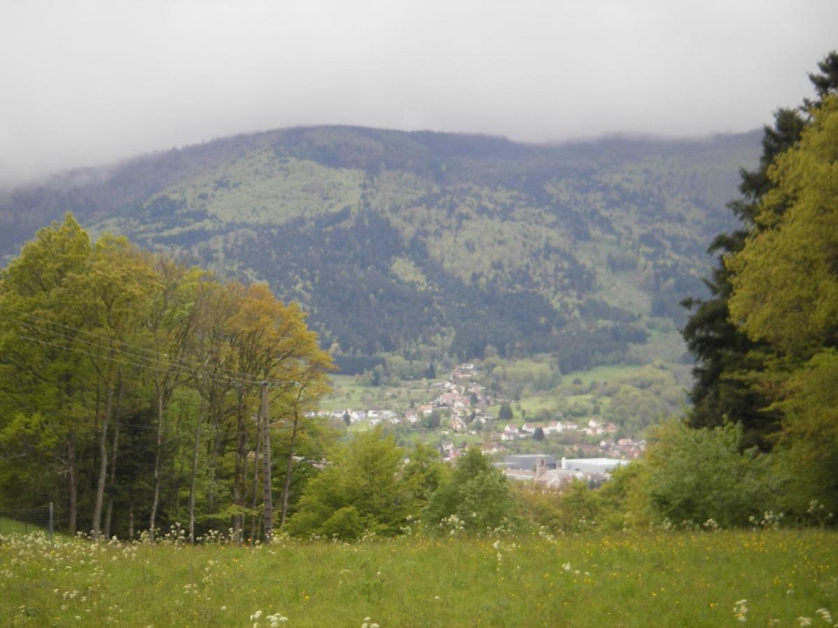 gite violette et pierrot Masevaux-Niederbruck Esterno foto